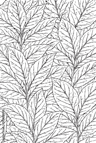 Monochrome Botanical Leaf Vein Pattern | Pen Drawing Style Texture Background