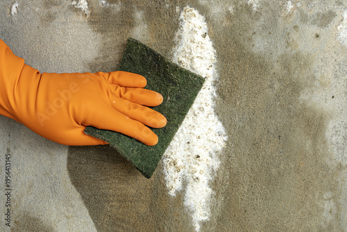 Vászonkép Close-Up of Hand Wearing Orange Rubber Glove Scrubbing White Efflorescence Miner