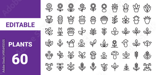 plant growth line icon set with editable stroke feature.Flowers line icons set rose tulip daisy sunflower lotus lily outline editable stroke vector isolated