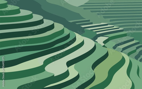 Beautiful Green Terraced Rice Fields Vector Illustration For Coloring 