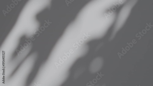 Summer concept the motion of leaves sunlight natural shadow overlay on white texture background, for overlay on product presentation, backdrop and mockup