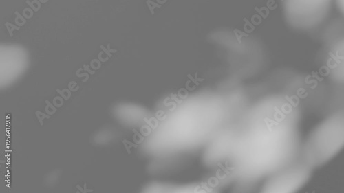 Summer concept the motion of leaves sunlight natural shadow overlay on white texture background, for overlay on product presentation, backdrop and mockup