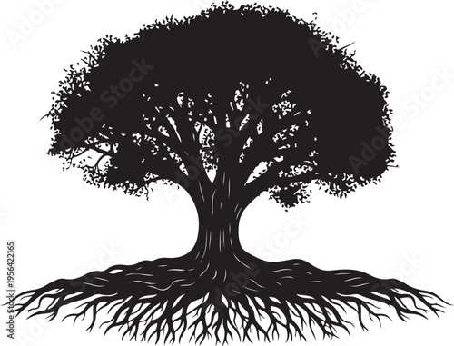 pure black silhouette on pure white background of big tree with roots