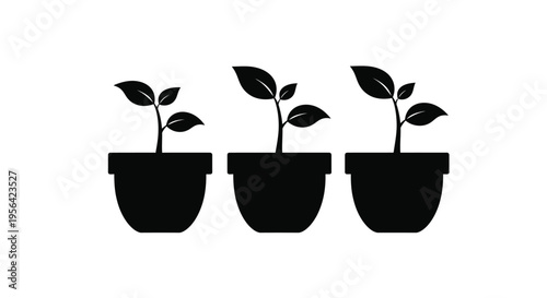 Three small plants in pots a simple black and white graphic