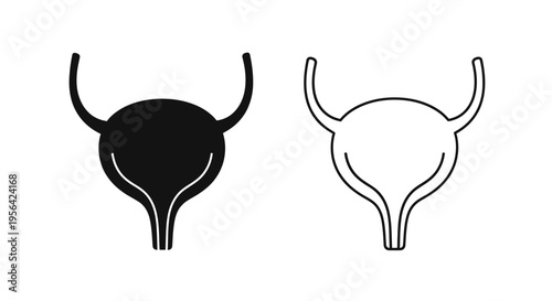 Uterus illustrations a black silhouette and a white line drawing
