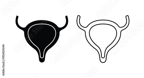Uterus illustrations A black and white depiction of female reproductive organs