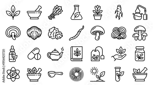 Herbal medicine icons set for natural remedies and organic health treatments, botanical and scientific illustrations