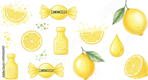 Vector Illustration Limoncello and Lemon Citrus Elements Collection