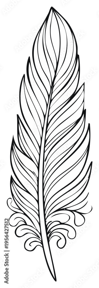 Fototapeta premium Delicate Feather Illustration in Black and White with Intricate Details