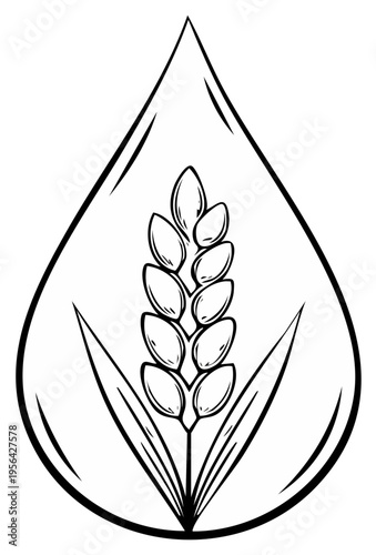 Stylized Wheat Ear Silhouette Inside Water Droplet Line Art