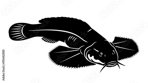 Black and white illustration of a catfish swimming, isolated on white background