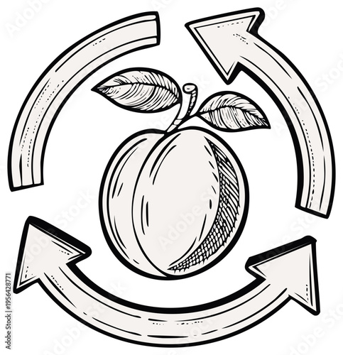 Fruit cycle illustration with arrows in sketchy style