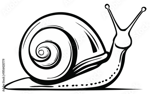 Vectored outline drawing of a garden snail with a swirling spiral shell and prominent antennae a simple black and white illustration