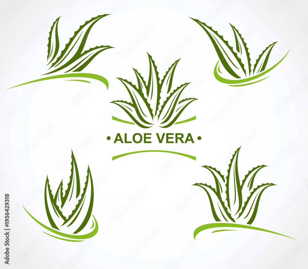 Fototapeta premium Aloe Vera labels and elements set. Collection icon Aloe Vera. Vector
