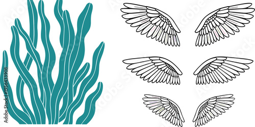 Abstract Seaweed and Angel Wing Collection Vector Set Featuring Organic Marine Shapes and Detailed Feather Wings in Minimal Line Art Style