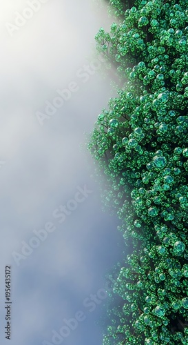 Abstract close-up of vibrant green foliage with dew drops glistening in soft morning mist, creating a serene and natural backdrop