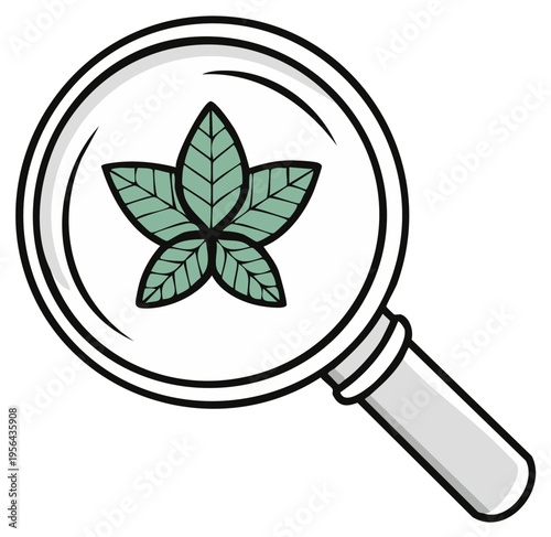 Magnifying glass illustration with plant leaves inside, concept of nature study and research