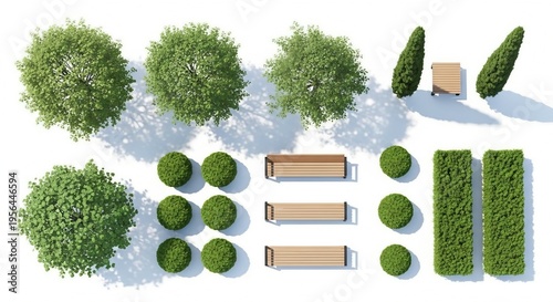 Top view park landscape elements set with green trees wooden benches and garden hedges for plan
