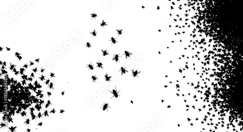 Flock of flies swarming in a gradient pattern