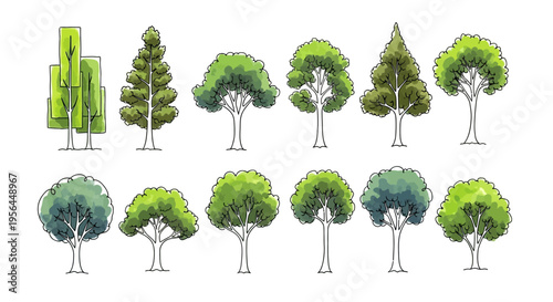 Diverse collection of trees in various shapes and sizes