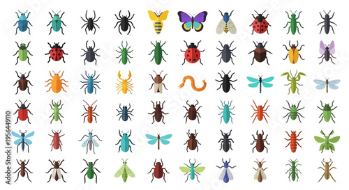 Collection of various colorful insects