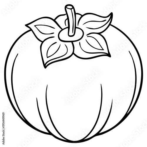 Ink drawing of a ripe persimmon fruit with detailed outline