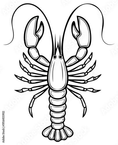 Detailed line art illustration of a large crawfish with claws raised in a defensive posture