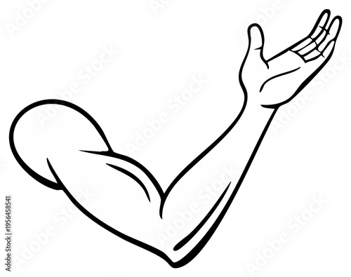 Arm Gesturing Upward Open Palm Hand Outstretched