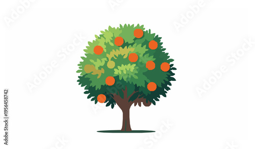 Orange fruit tree vector illustration citrus tree with fruits isolated on white background