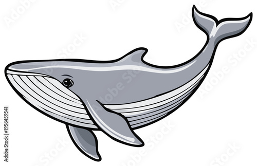 Gray whale gracefully swims through blue ocean waters with fluke raised