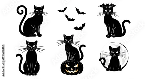 Fototapeta Seven black cats isolated on transparent background for halloween decorations and designs