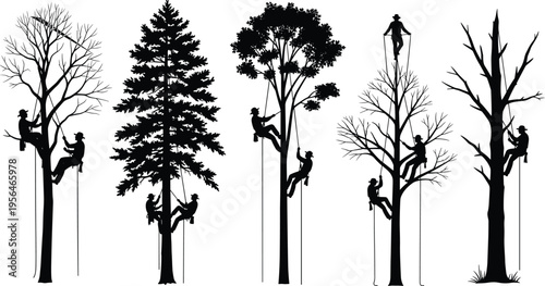 Tree climber arborist silhouette set workers climbing tall trees using rope professional tree service forestry work isolated vector illustration