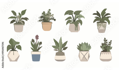 Assorted potted plants and flowers flat vector nine indoor plant set illustration