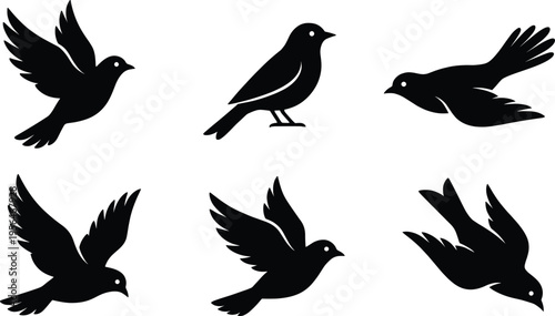 Set of black bird silhouettes including flying pigeons, perching sparrows, and soaring swallows for nature-themed graphic design vector projects, and creative illustrations