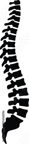 Black, human, spine, silhouette, vector, illustration, showing, anatomy, of, vertebral, column, with, cervical, thoracic, lumbar, and, sacral, sections, isolated