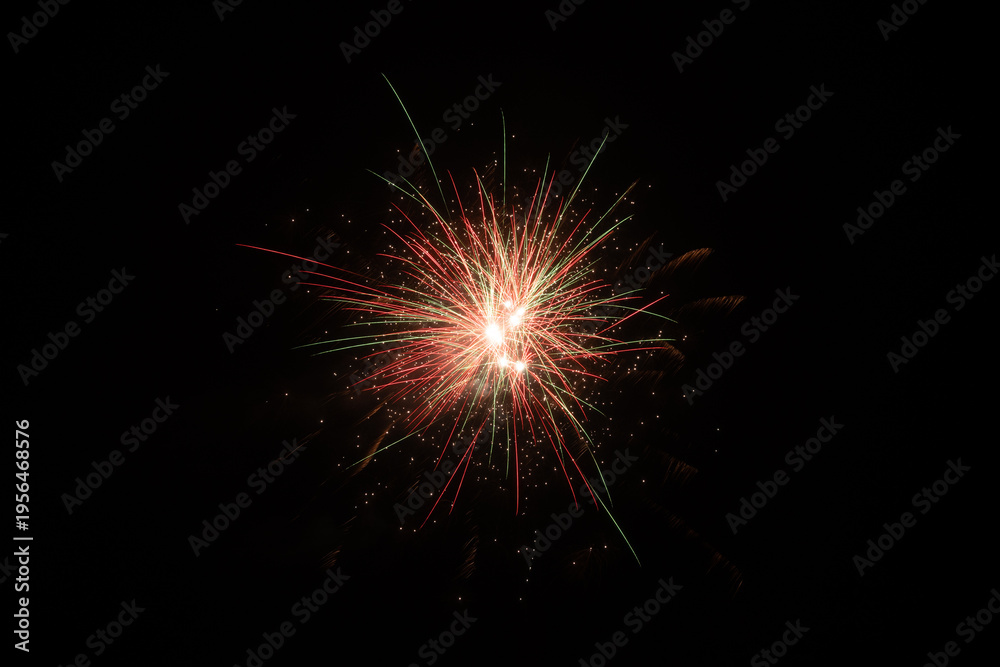 Fototapeta premium fireworks in the night sky