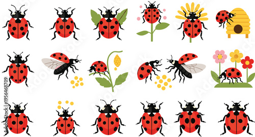 Ladybug Collection with Nature Elements Featuring Flowers Leaves Honeycomb and Beehive Cute Cartoon Insect Set for Garden Spring Design Vector Illustration Pack