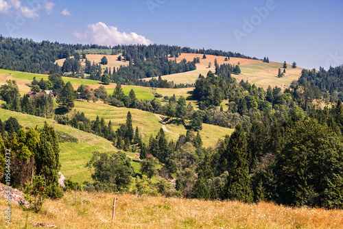 Beskid Sadecki nearby Rozdziela Pass from Little Pieniny in summer