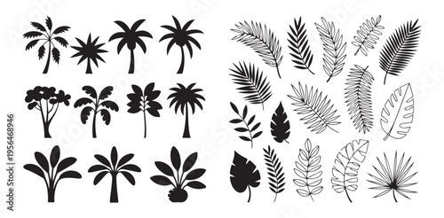 Collection of tropical palm trees and exotic leaves silhouette elements for design