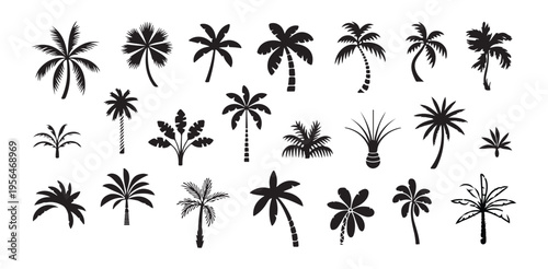 Diverse group of black palm tree silhouettes on white background for design