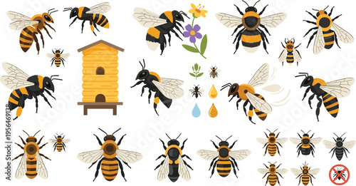 Realistic Bee Collection with Honeycomb Hive and Pollination Elements Featuring Bumblebee and Honeybee Variations Detailed Nature Wildlife Cartoon Vector Illustration Set for Ecology Design
