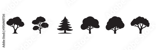 Five different broadleaf trees and one stylized pine tree presented as black vector shapes