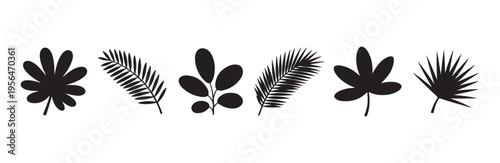 Set of black tropical palm leaves vector silhouette isolated on white background collection