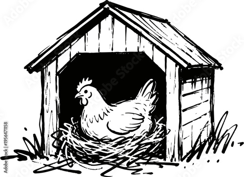 Hen sitting in a nest inside wooden chicken coop farm bird resting in shelter