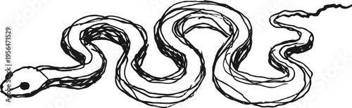 Black and white snake illustration hand drawn winding serpent with detailed scales and head reptile sketch tattoo design