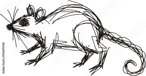 hand drawn rat sketch in black ink lines with detailed whiskers and curled tail