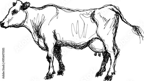 hand drawn sketch of a standing cow in simple black ink lines, rural farm animal illustration