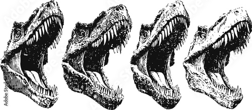 tyrannosaurus rex skull illustrations in black and white, detailed open jaws set