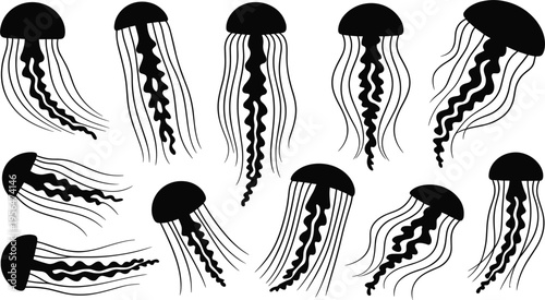 Jellyfish vector silhouette set for ocean life, marine biology, and aquatic summer beach designs