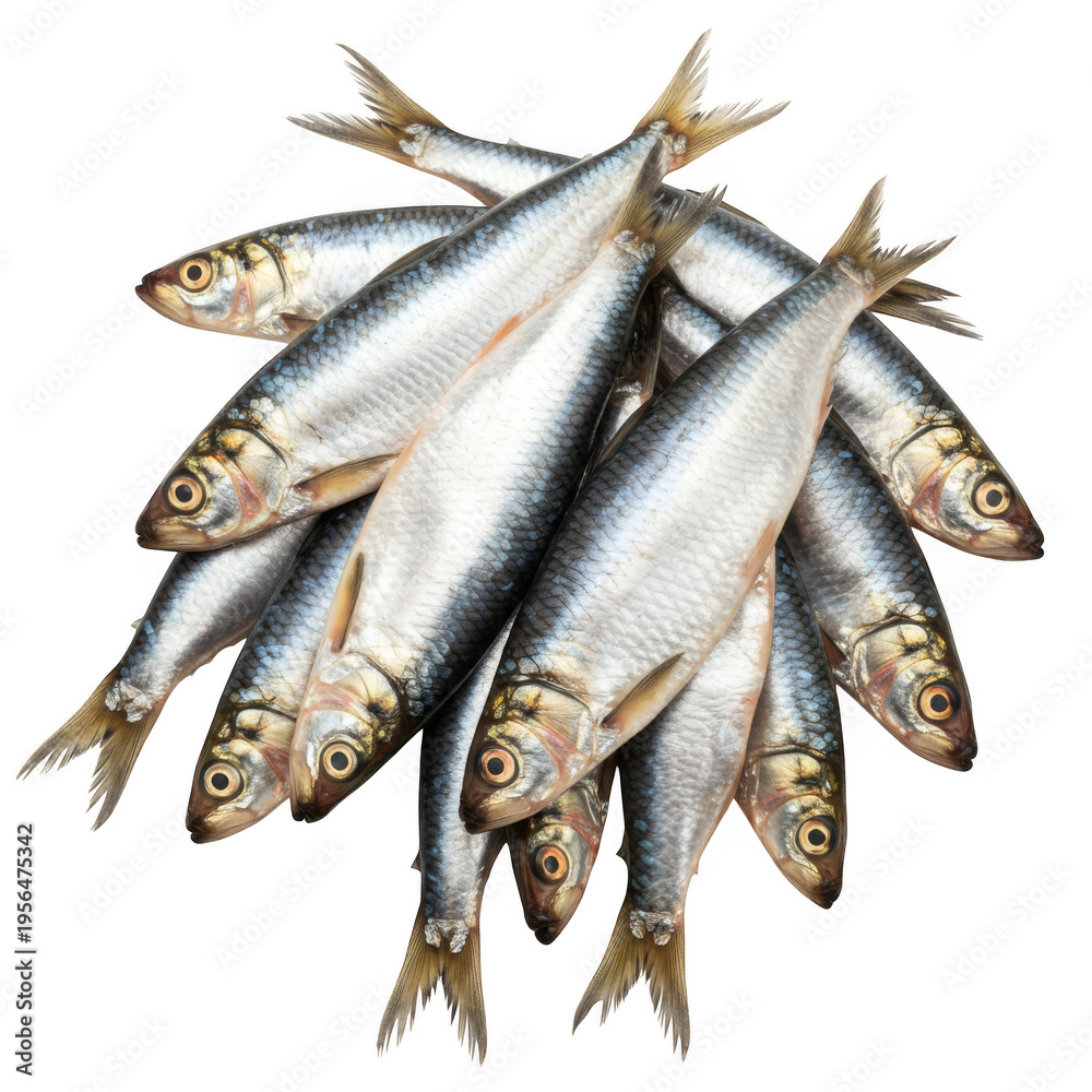 Obraz premium Pile of fresh sardines isolated on transparent background